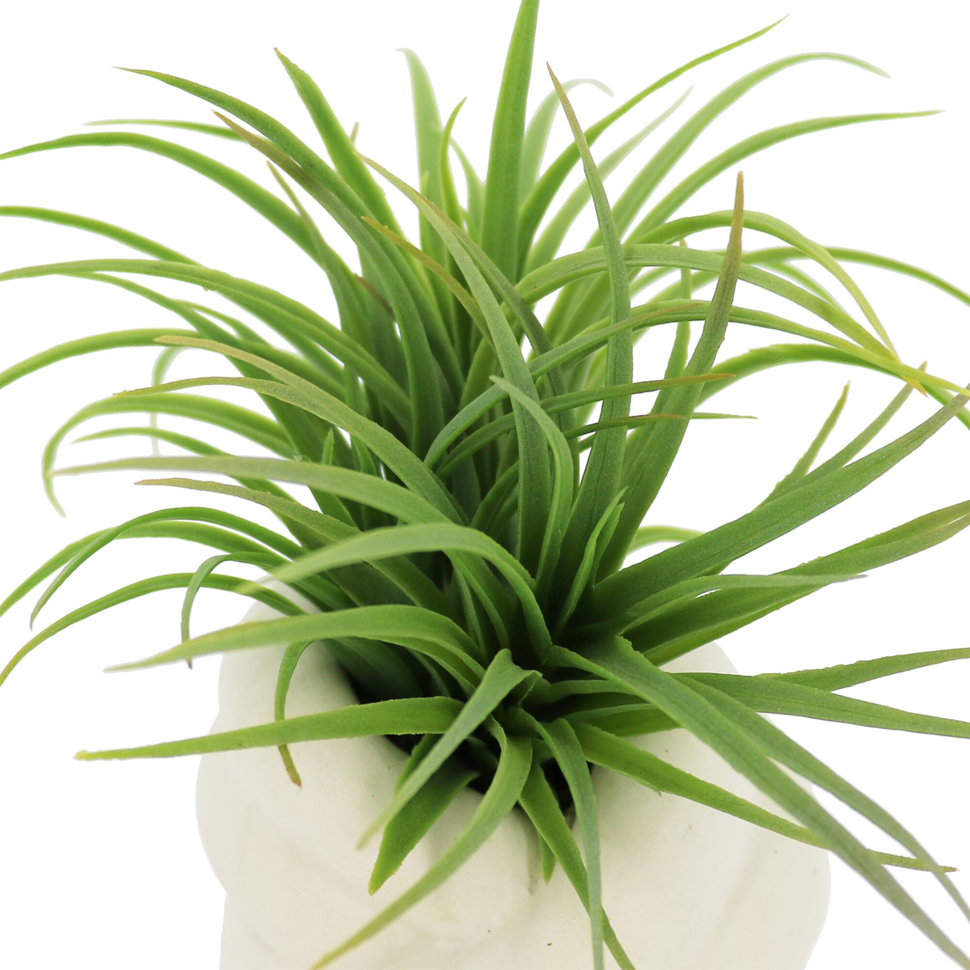 6.5" Premade Green Grass Faux Plant in White Ceramic Pot by Ashland®